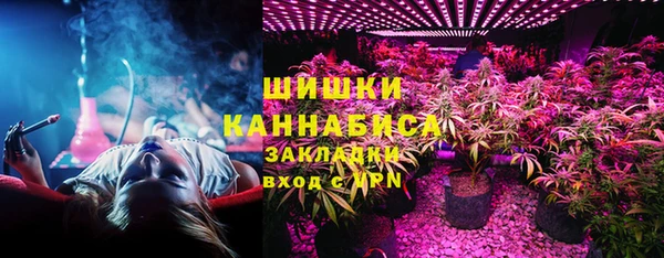 хмурый Каменка