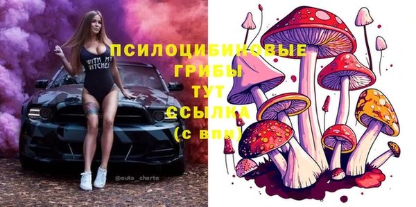 хмурый Каменка