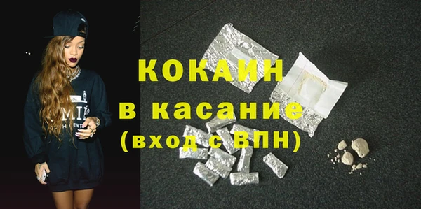 хмурый Каменка