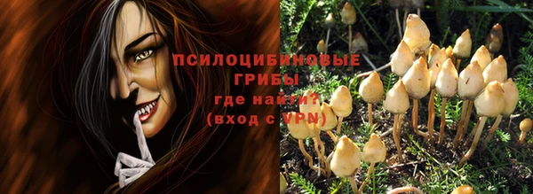 хмурый Каменка