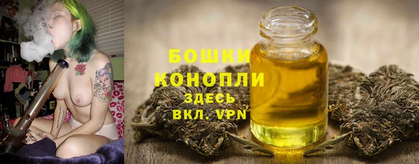 хмурый Каменка
