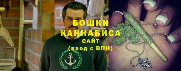 хмурый Каменка